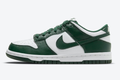 Nike Dunk Low Michigan State Reps Sneaker DD1391-101