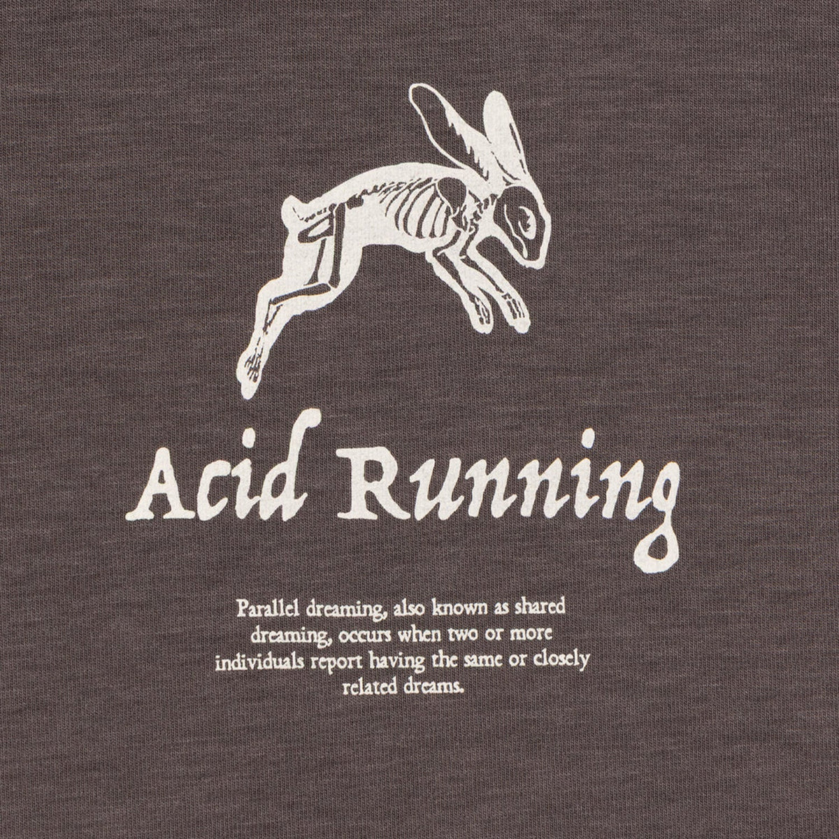 Acid Running A Runner's Dream T-Shirt: Shadow Taupe