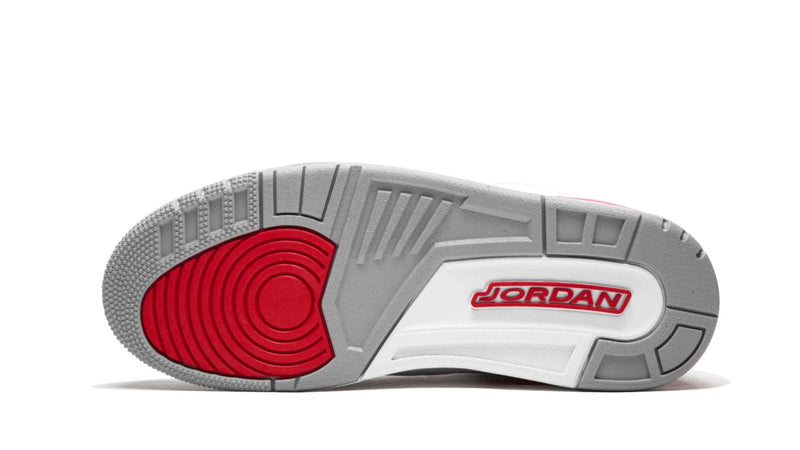 Air Jordan 3 Retro 'Katrina' Hall of Fame